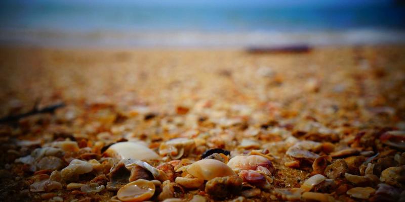 云计算90：云存储、数据分析与数据服务的融合演进