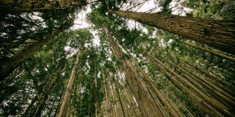 云计算与大数据：双引擎驱动下的数据分析革命