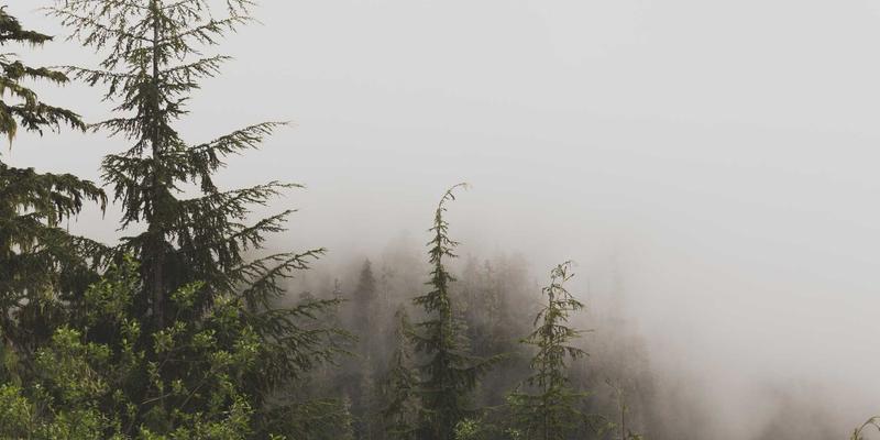 云计算安全架构设计：从零信任到云原生安全的最佳实践