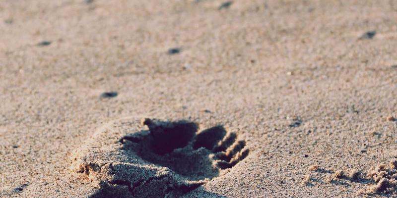 云计算成本监控与优化工具深度对比：从原生工具到第三方企业云解决方案