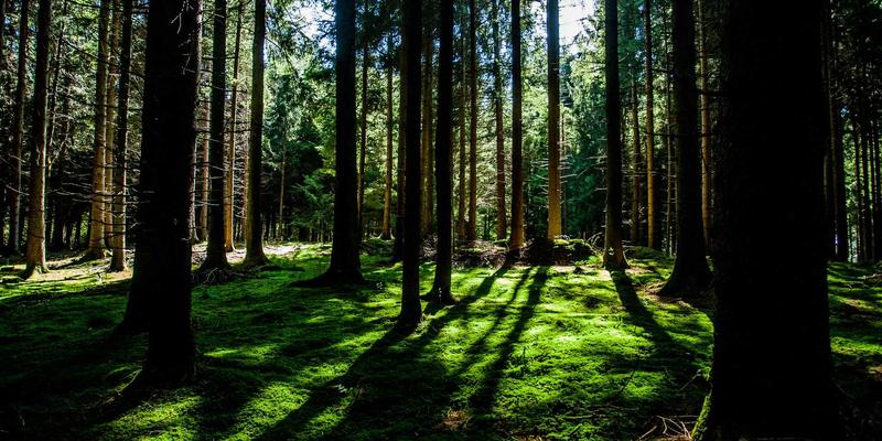 云计算未来已来：企业云解决方案如何驱动数据服务与大数据价值变现