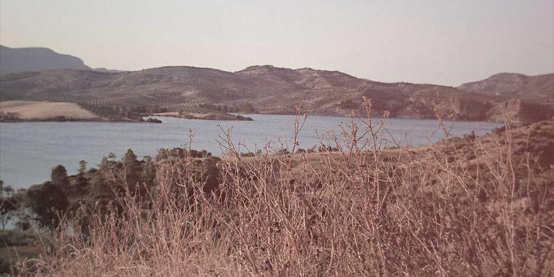 云计算赋能AI模型即服务：企业如何低成本部署与规模化AI应用