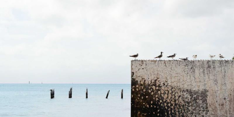 云计算赋能数据服务：企业云解决方案如何释放大数据价值