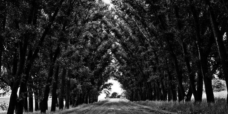 人工智能即服务（AIaaS）：云平台如何通过数据服务与云存储降低AI应用门槛