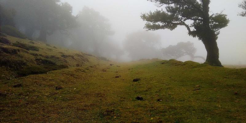 从云存储到智能分析：云计算数据服务全流程实战指南