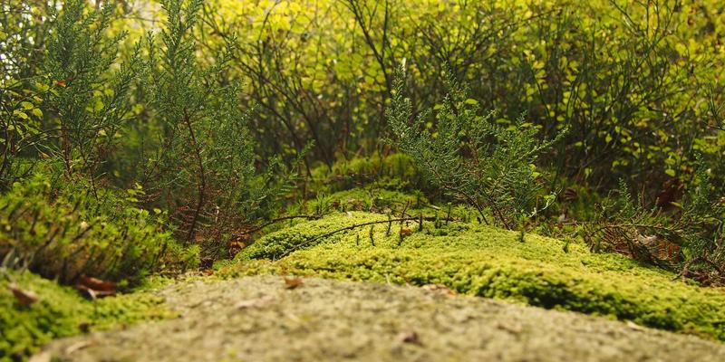 企业云解决方案：如何通过数据服务与云存储驱动数字化转型