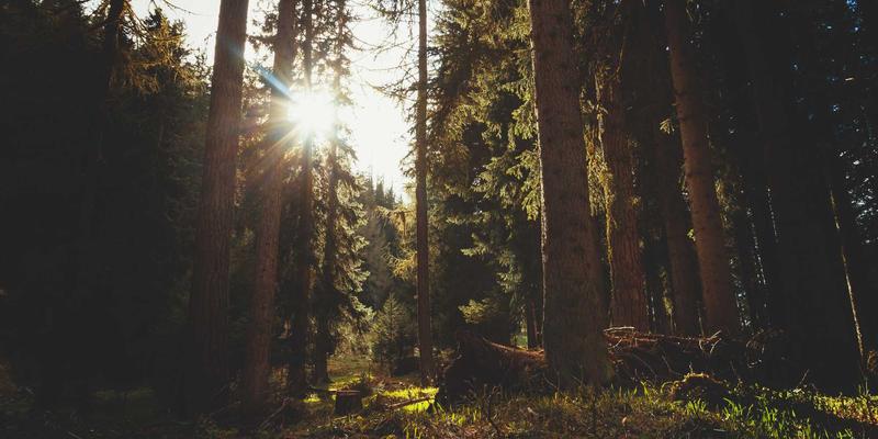 解锁云端算力：基于云存储与数据服务的高性能计算（HPC）仿真实践