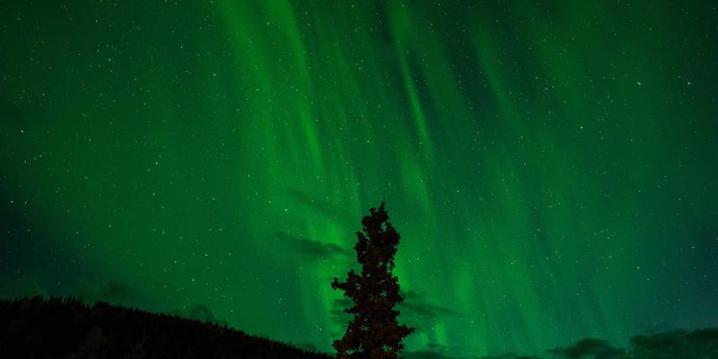 驾驭云端：企业云解决方案如何通过云存储与数据分析驱动数字化转型